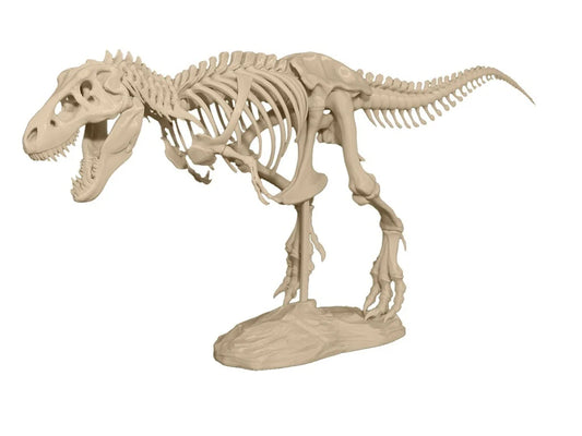 Esqueleto T-Rex (PETG)